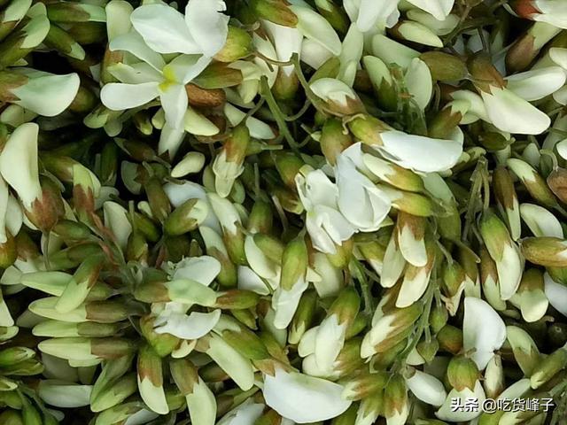 槐花茶用的什么槐花，槐花茶有什么功效