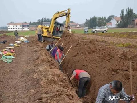 铁棍山药什么时候成熟，山药收获后怎样贮存