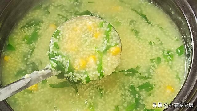 青菜钵用的青菜叫什么名字，青菜钵的青菜是什么