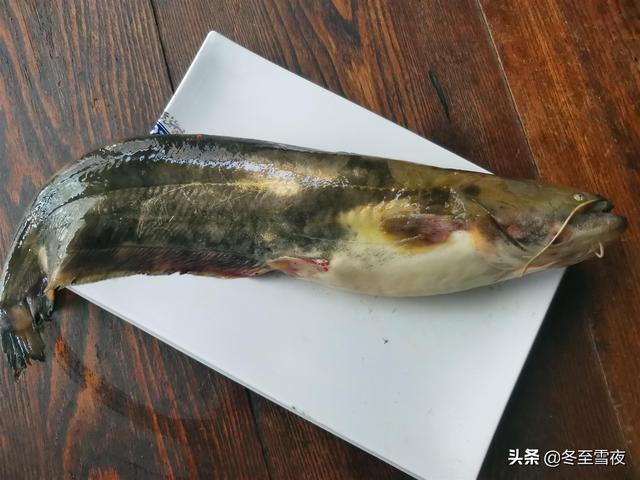 鲶鱼用什么大料炖，炖鲶鱼需要放什么调料