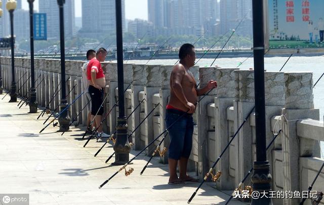 鲶鱼卵有什么毒，秋季鲶鱼钓法技巧野钓