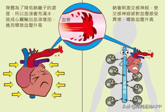 什么调味热量低，减肥期间吃什么调料